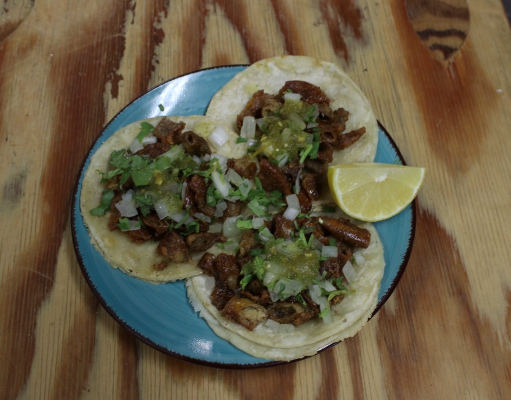 Tacos at Taco Boy — Anaheim, California